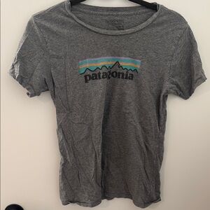Patagonia Gray Graphic T-Shirt